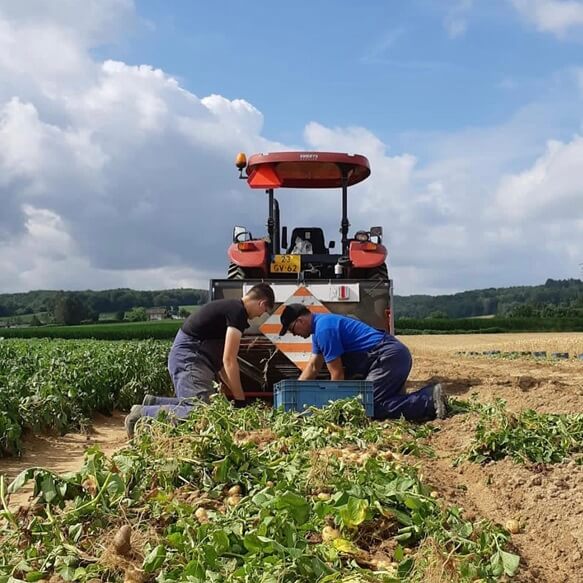 Volg ons op Instagram